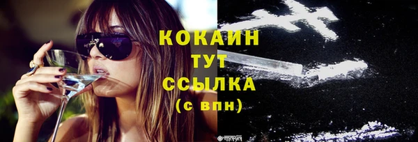 прущие крисы Вяземский