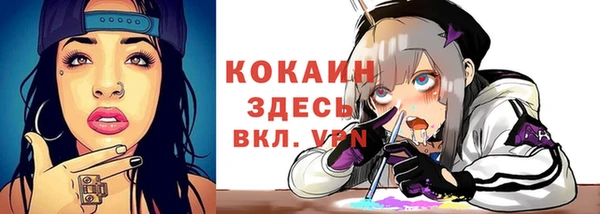ПСИЛОЦИБИНОВЫЕ ГРИБЫ Вязники