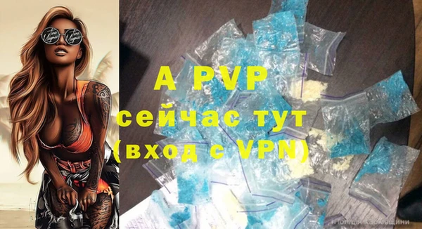 ПСИЛОЦИБИНОВЫЕ ГРИБЫ Вязники