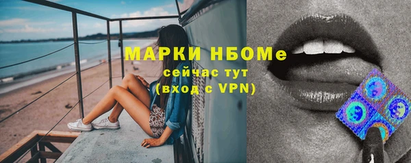 прущие крисы Вяземский