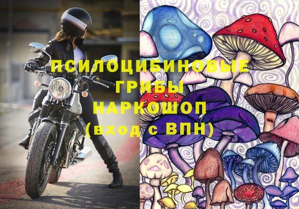 ешки Вязьма