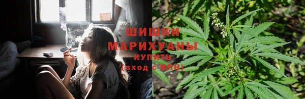 ешки Вязьма