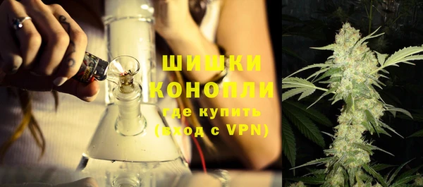 прущие крисы Вяземский
